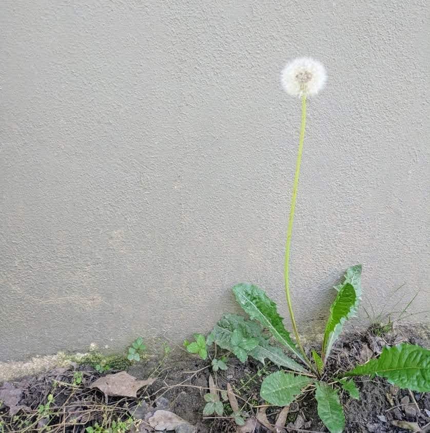 Holy Week Fragments:&nbsp;Tuesday