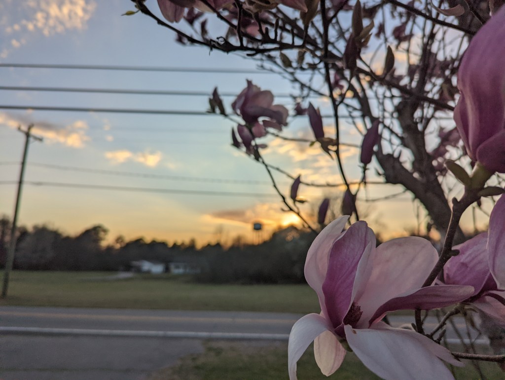 Day 10 – 508&nbsp;Words